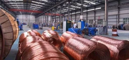 灃西新城兩家電線企業榮膺2023年民營經濟轉型升級示范