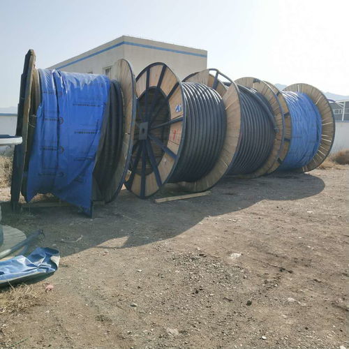 閘北樹(shù)脂絕緣電纜線回收 誠(chéng)信商家的高價(jià)電線變現(xiàn)之道