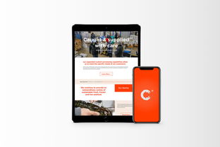 萬域品牌形象設計 以清潔與現(xiàn)代理念重塑生鮮食品企業(yè)新形象